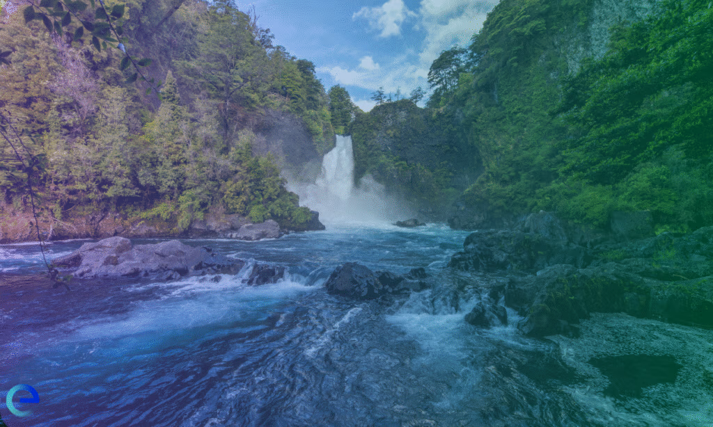 Kunming-Montreal Global Biodiversity Framework