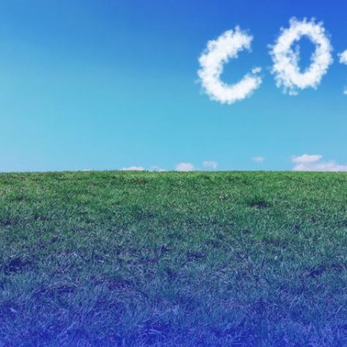 Basics Carbon Footprint