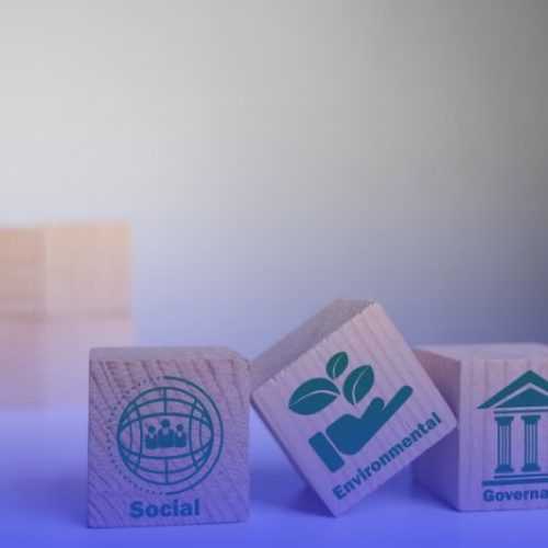 introduction to esg standards